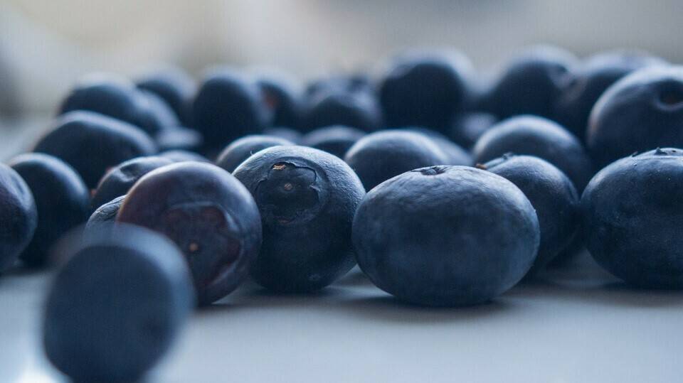 blueberries-925660_960_720|CFA 1|CFA 2|CFA 3|CFA 4|CFA 5|CFA 6|CFA 7|CFA 8|CFA 9|CFA 10